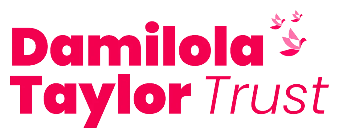 Damilol taylor trust  automates client logo website build marketing services